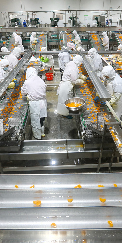 生产许可证咨询